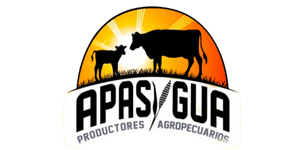 Apasigua